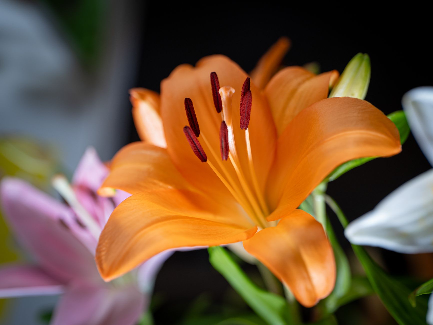 Livraison fleurs à Marseille